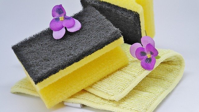 Cleaning Roof